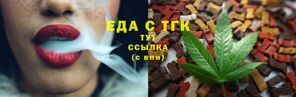 крисы Абаза
