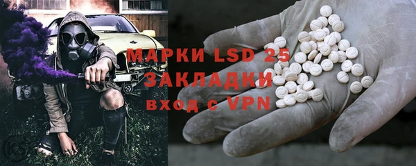 крисы Абаза