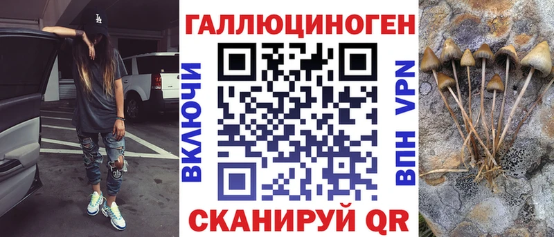 наркошоп  Ростов-на-Дону  Галлюциногенные грибы Cubensis 